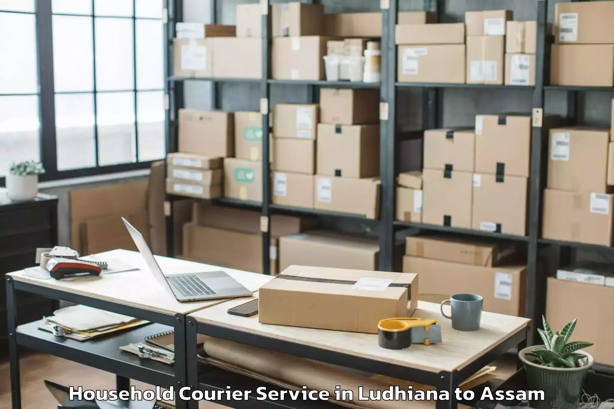 Easy Ludhiana to Kharupetia Household Courier Booking